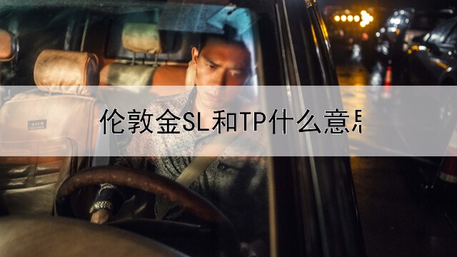 伦敦金SL和TP什么意思